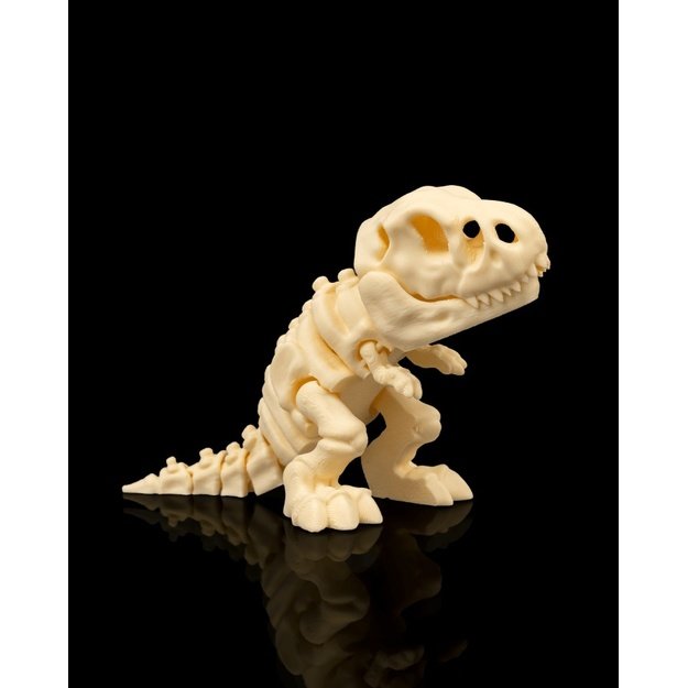 T-Rex skeletas